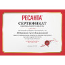 Дрель ударная РЕСАНТА ДУ-13/580 75/8/1
